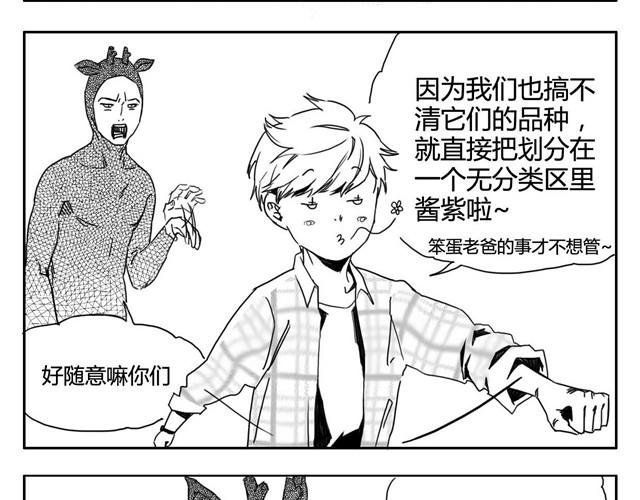 第3话 海狗太危险