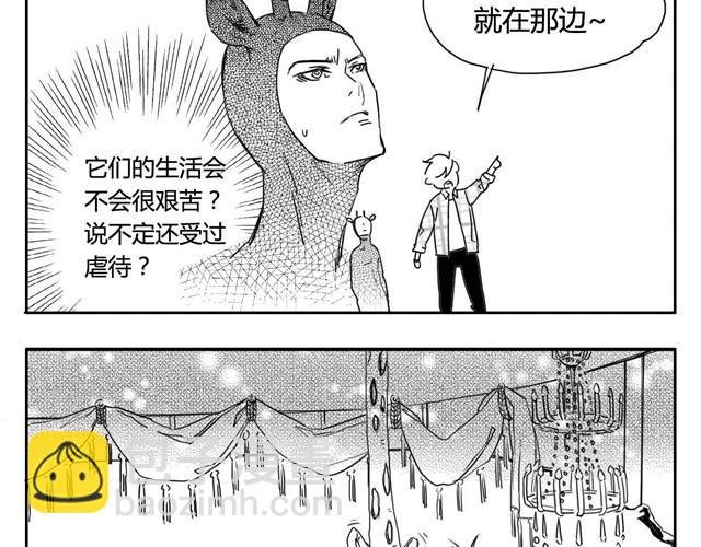 第3话 海狗太危险