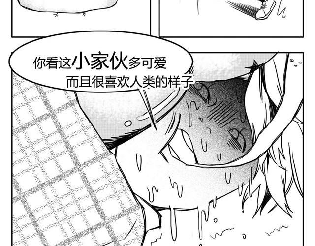 第3话 海狗太危险