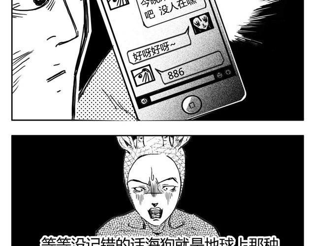 第3话 海狗太危险