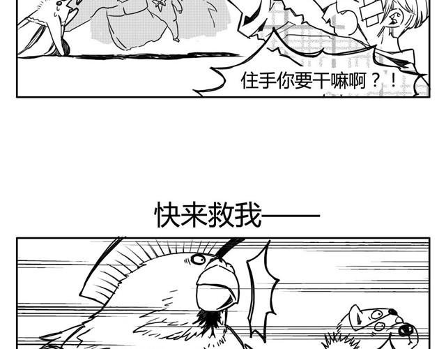 第3话 海狗太危险
