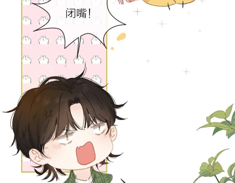 人物介绍直播环节