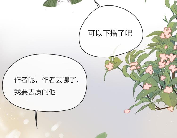 人物介绍直播环节