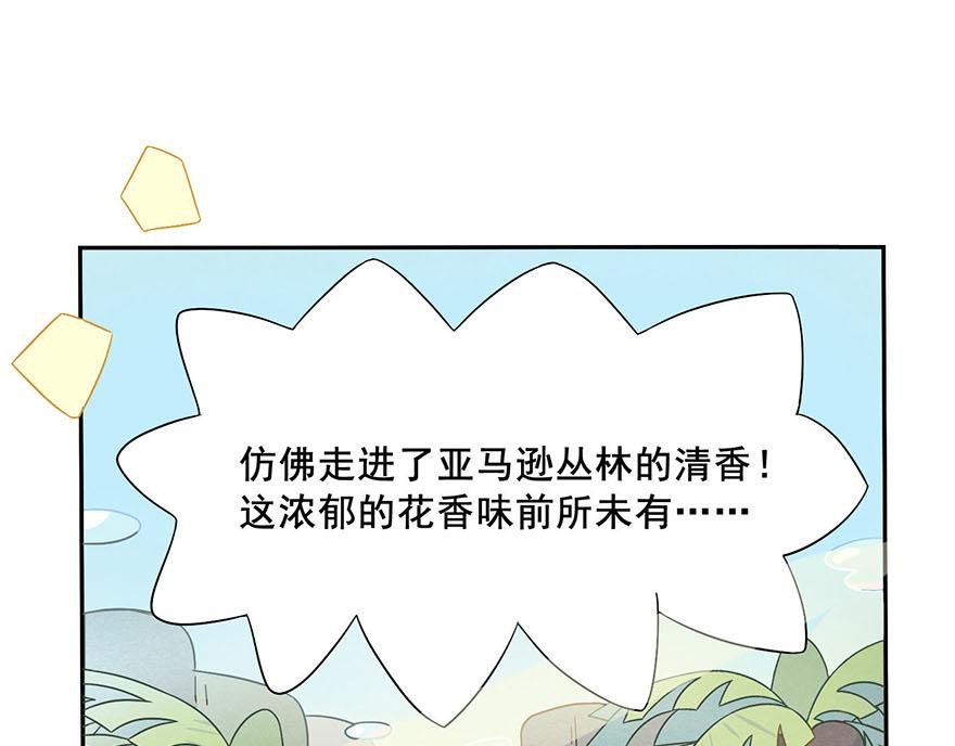 第二章 梦想的开始（下）