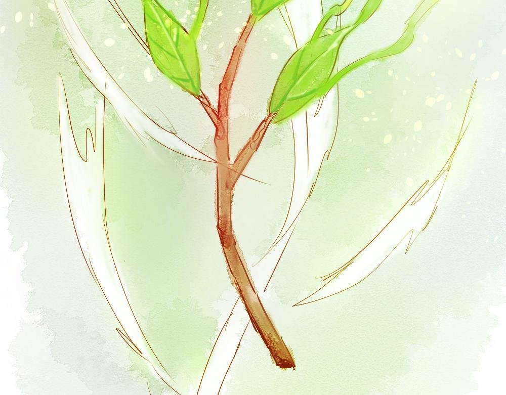 第一章 它