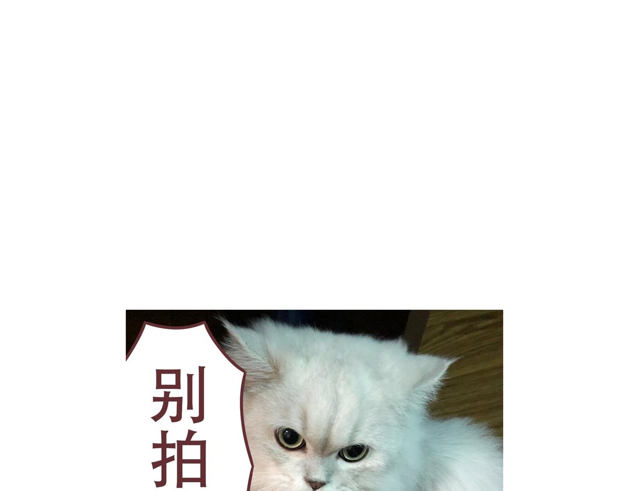 第4话 我们的对话