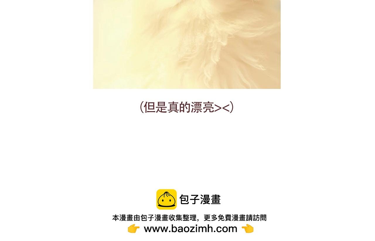 第3话 葫芦强大的美貌