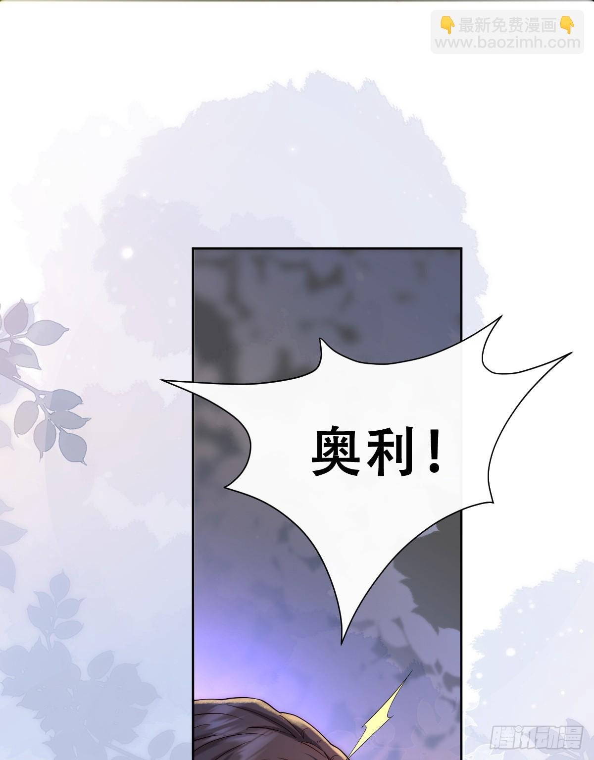 公主出意外