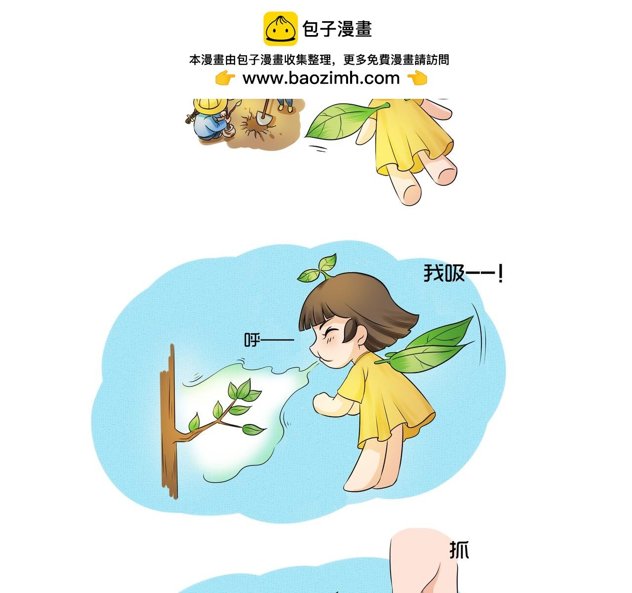 保护大树的第N个理由