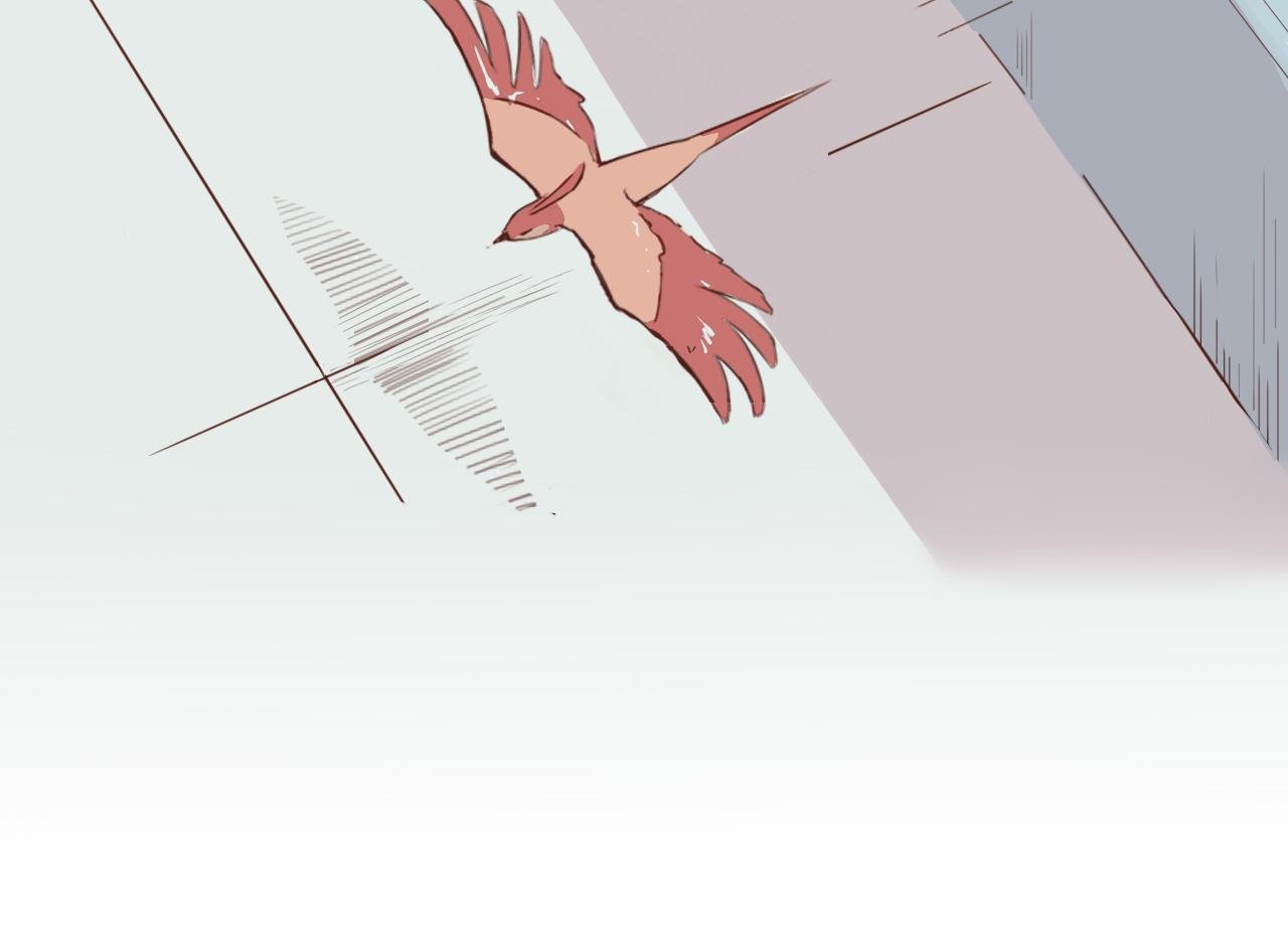 会说话的鸟