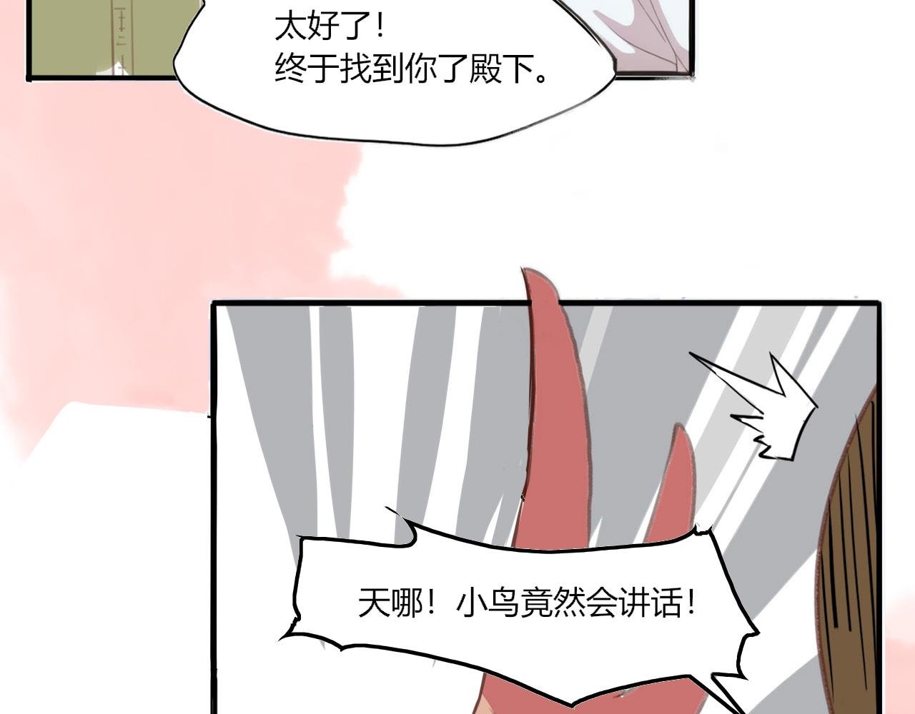 会说话的鸟
