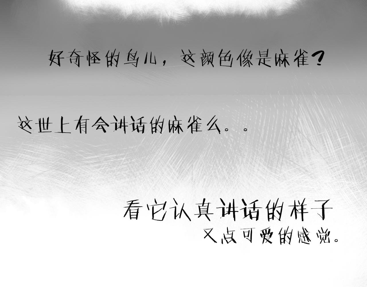 会说话的鸟