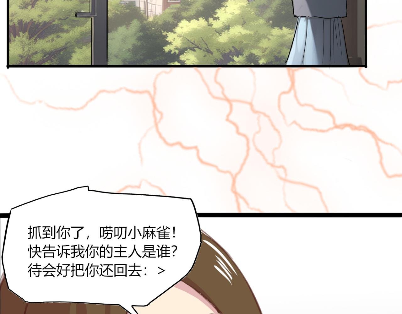 会说话的鸟
