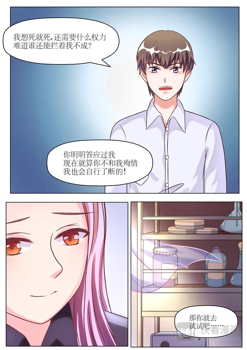 预告篇