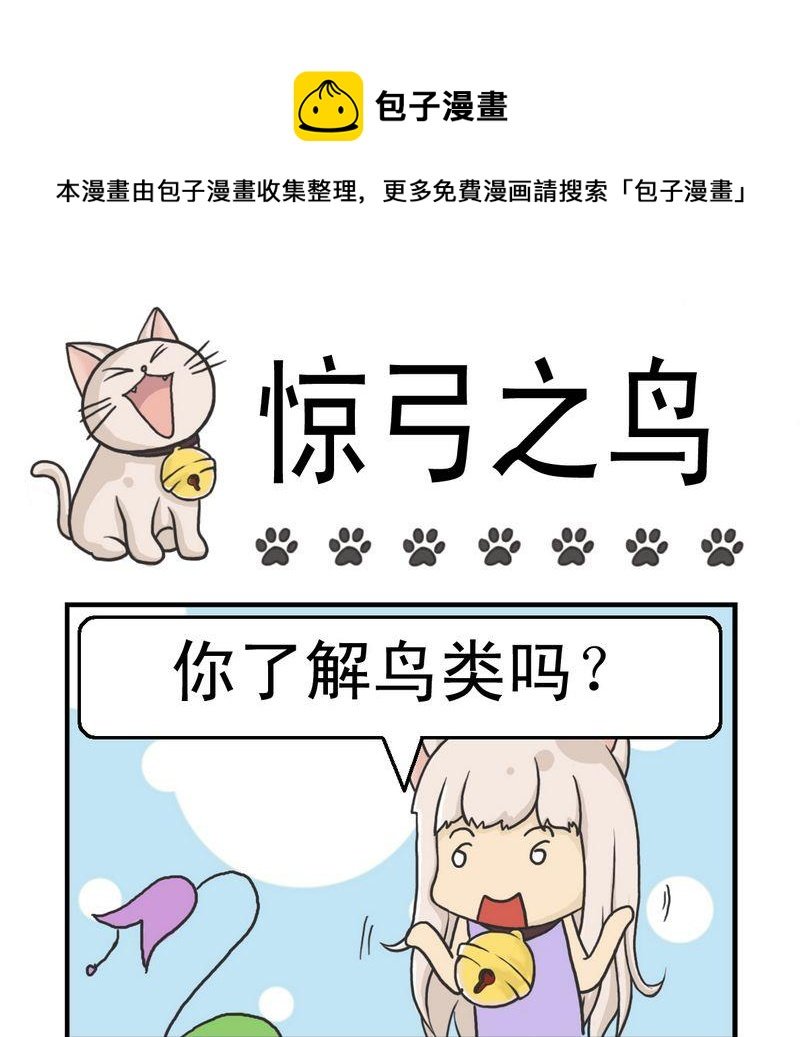 4 惊弓之鸟