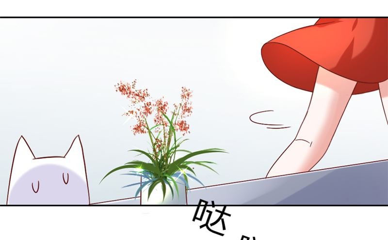 第一话 倒霉的体质