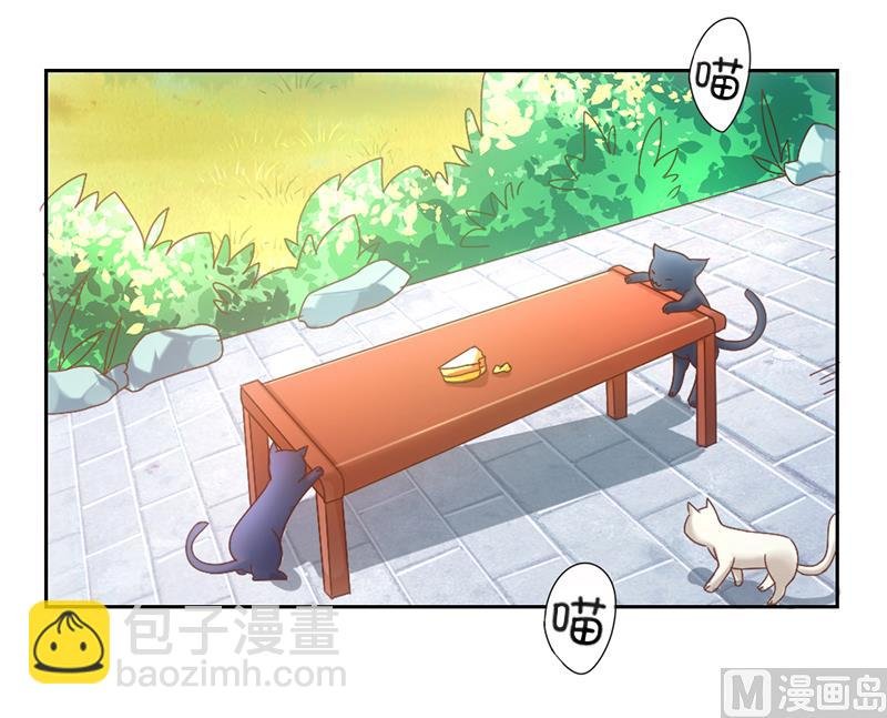序章 猫与背叛