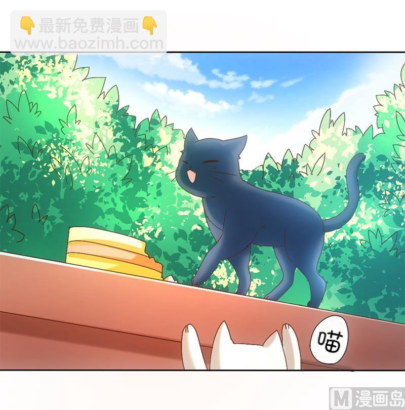 序章 猫与背叛
