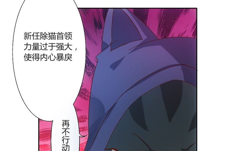 序章 猫与背叛