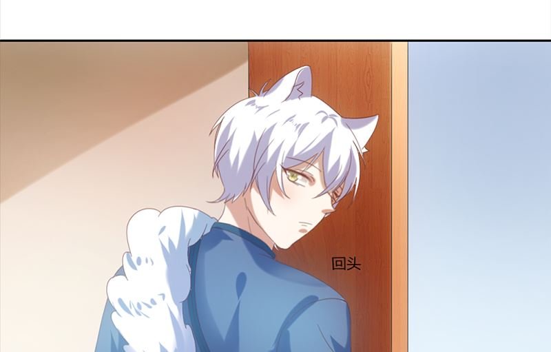 序章 猫与背叛