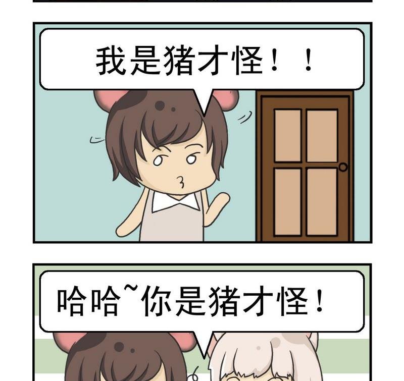 5 猪才怪
