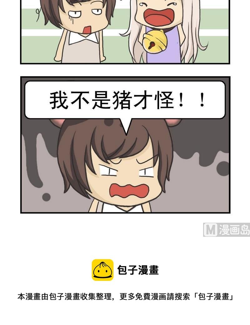 5 猪才怪