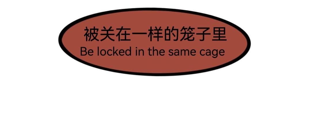 墙外面的世界(2)
