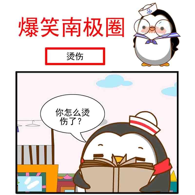 爆笑南极圈 第4集