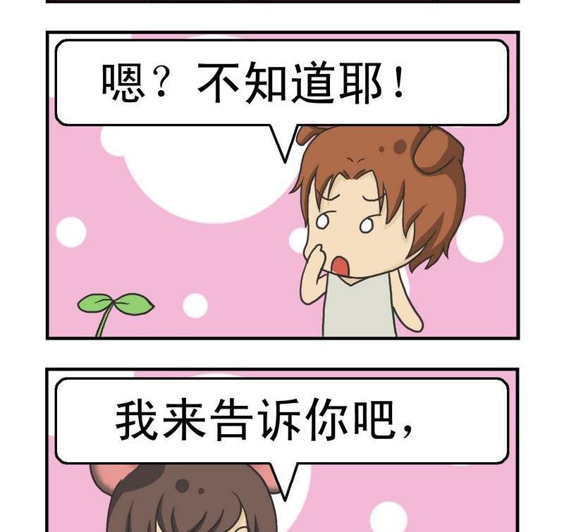 3 死前的话