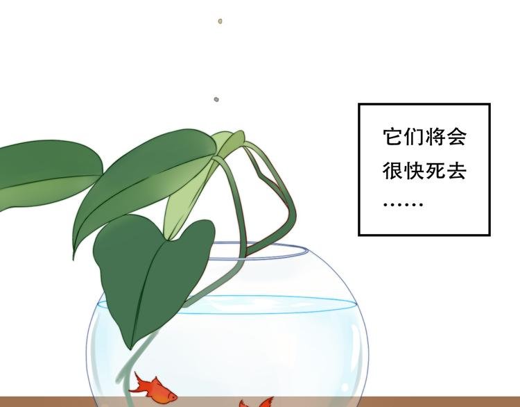 序01