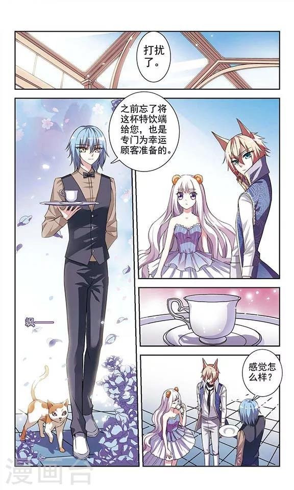 最终话 喵的假期