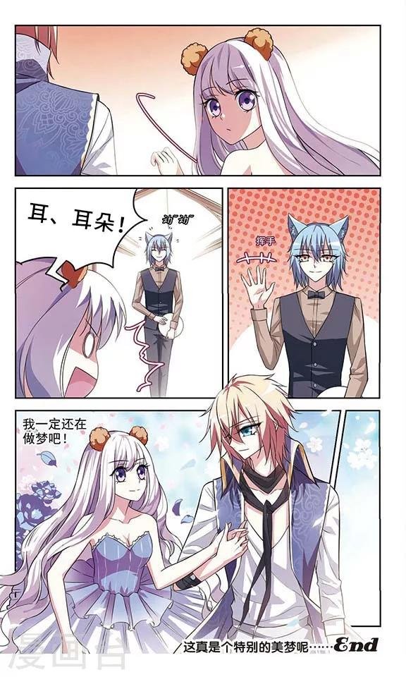 最终话 喵的假期