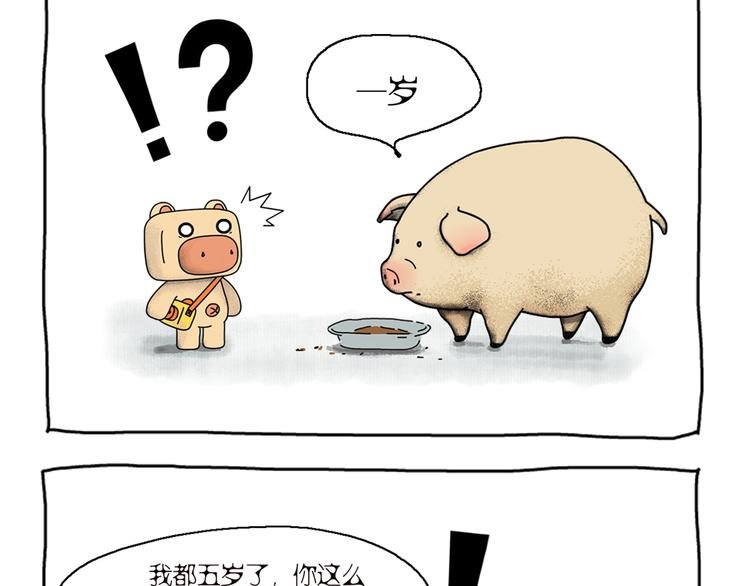 第1话 两只有追求的猪