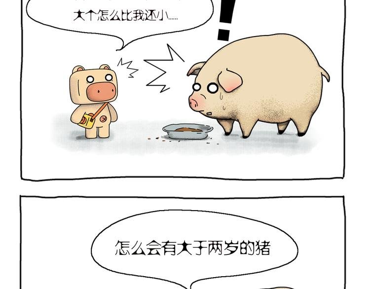 第1话 两只有追求的猪