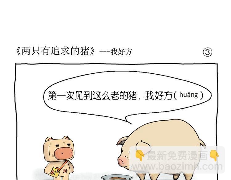 第1话 两只有追求的猪