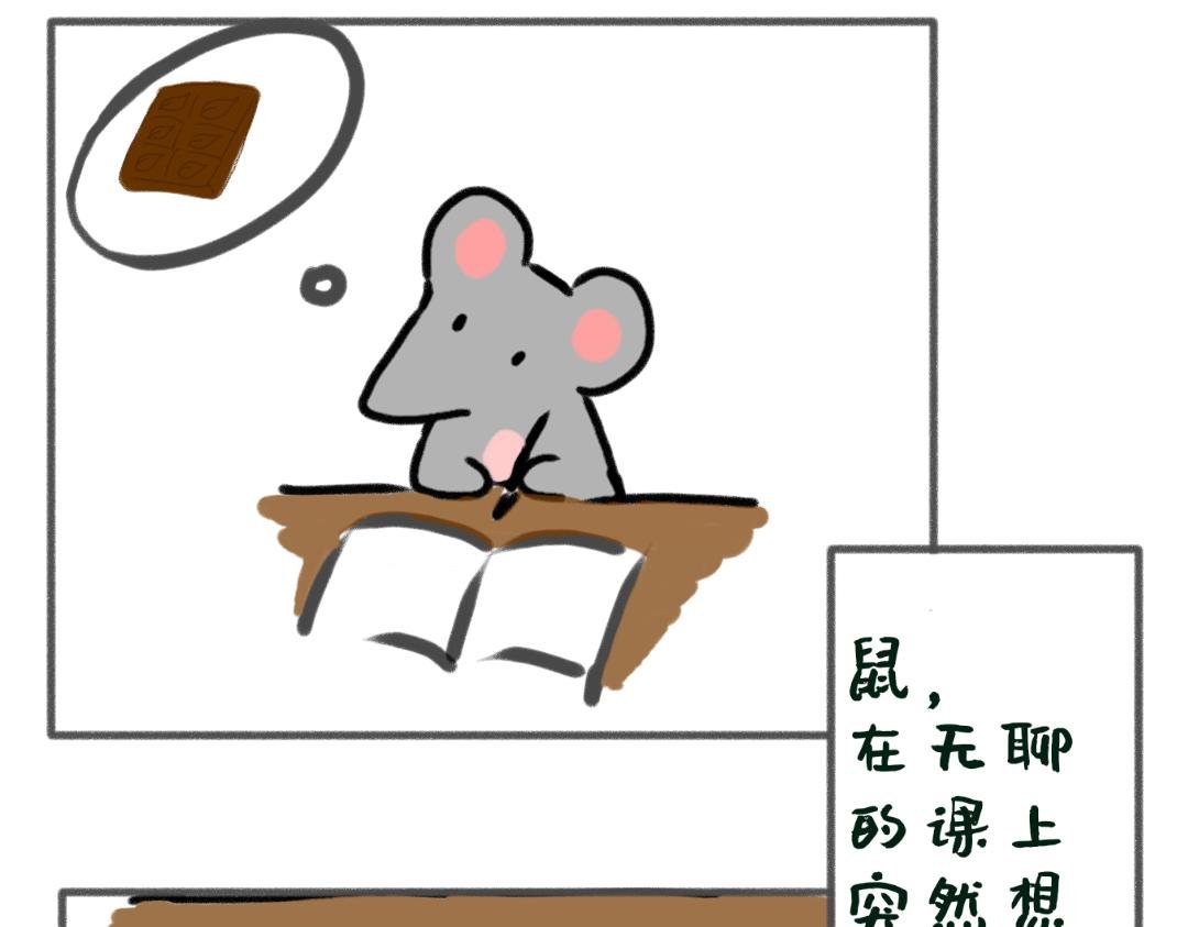 在学校的某一天
