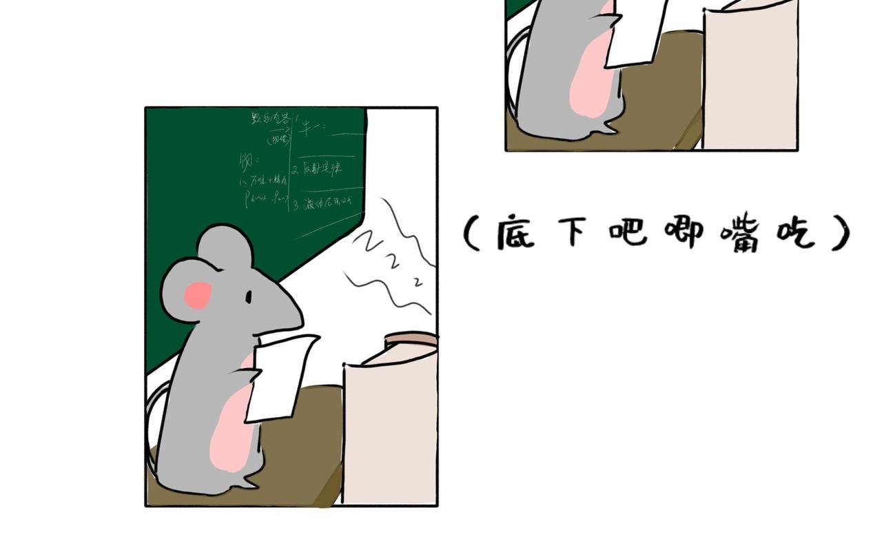 在学校的某一天