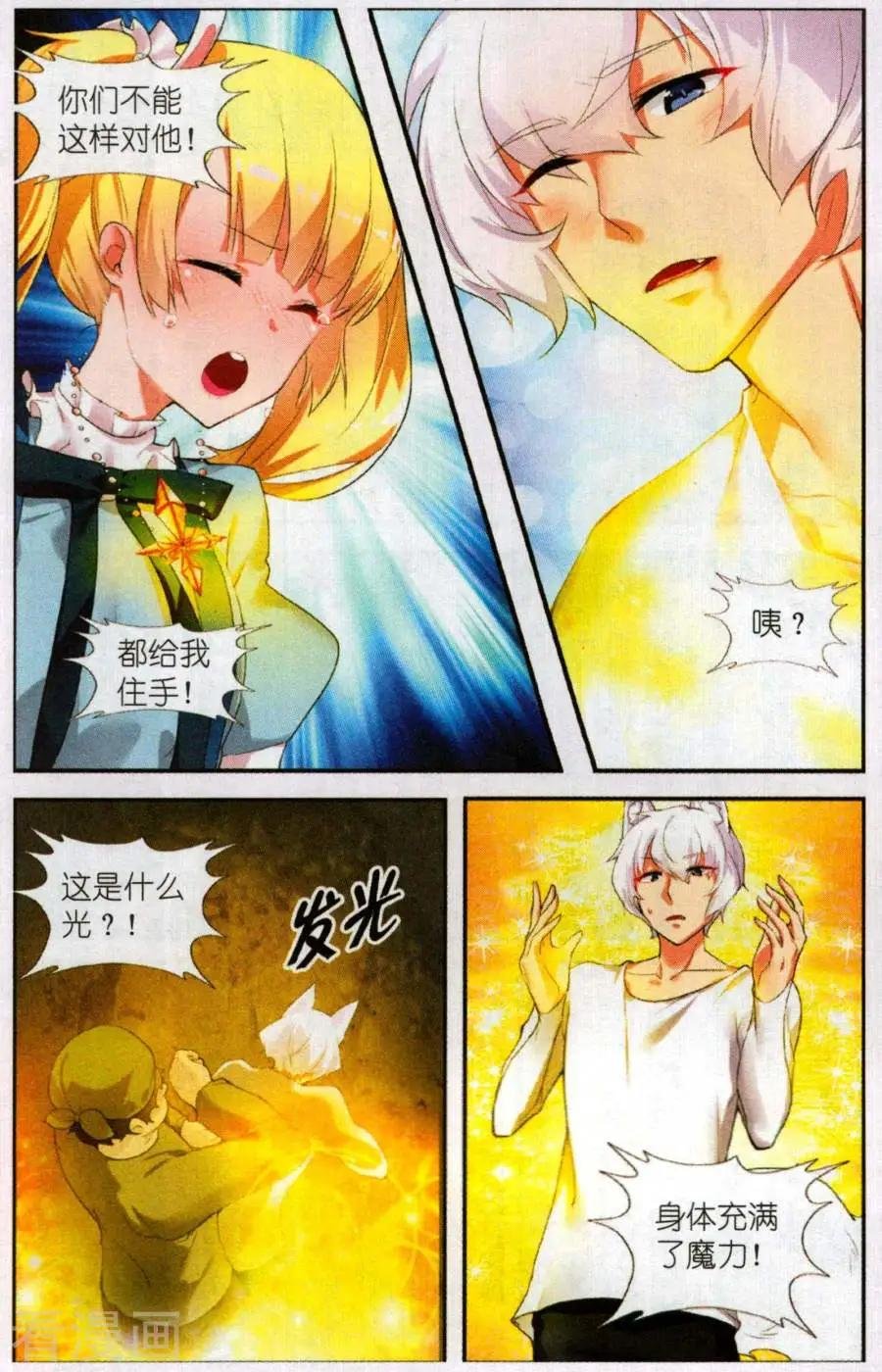 第1话 盛开的银星花