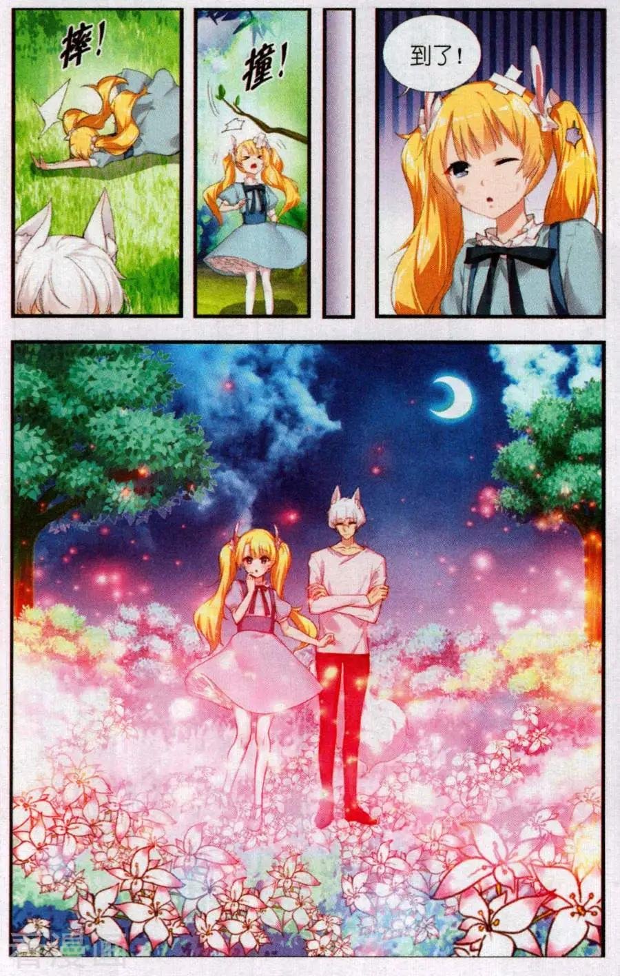 第1话 盛开的银星花