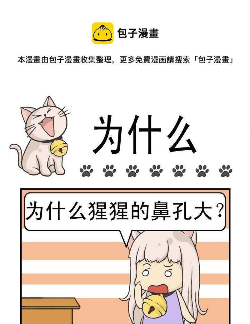 5 为什么