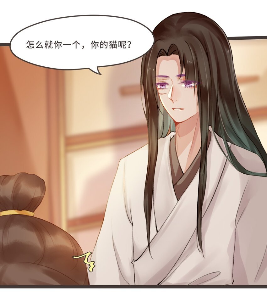 刺杀 就这点伎俩也敢在我面前玩刺杀？