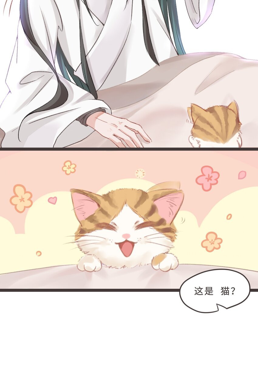 001 咸鱼穿越者vs玛丽苏女主