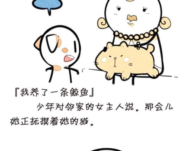 我养了一条鲸鱼