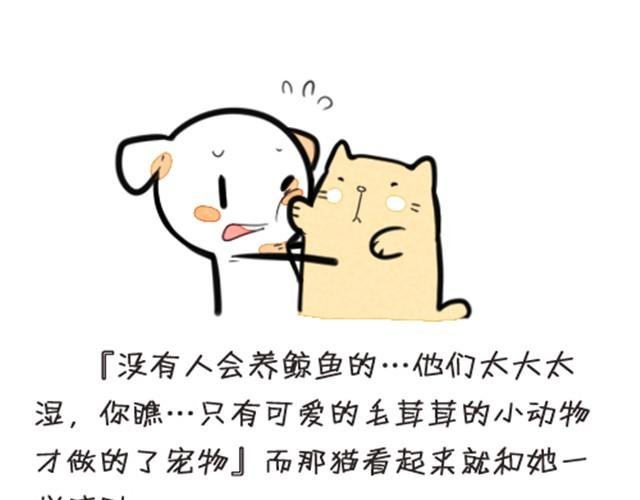 我养了一条鲸鱼
