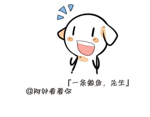 我养了一条鲸鱼