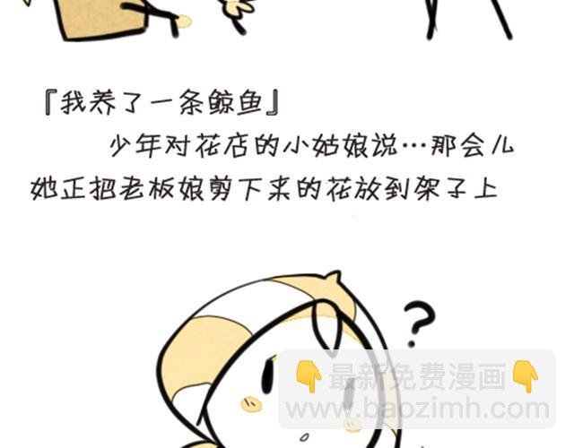 我养了一条鲸鱼