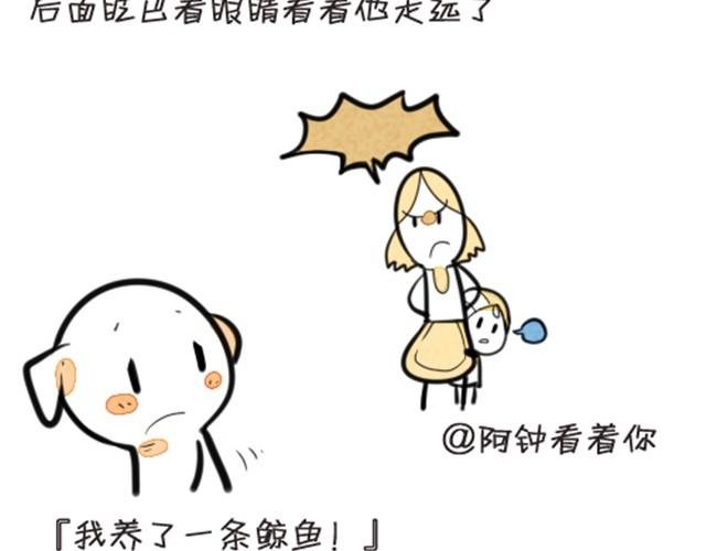 我养了一条鲸鱼
