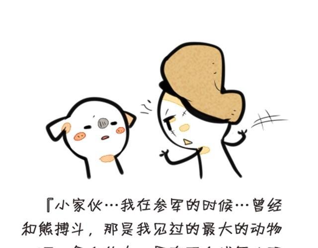 我养了一条鲸鱼
