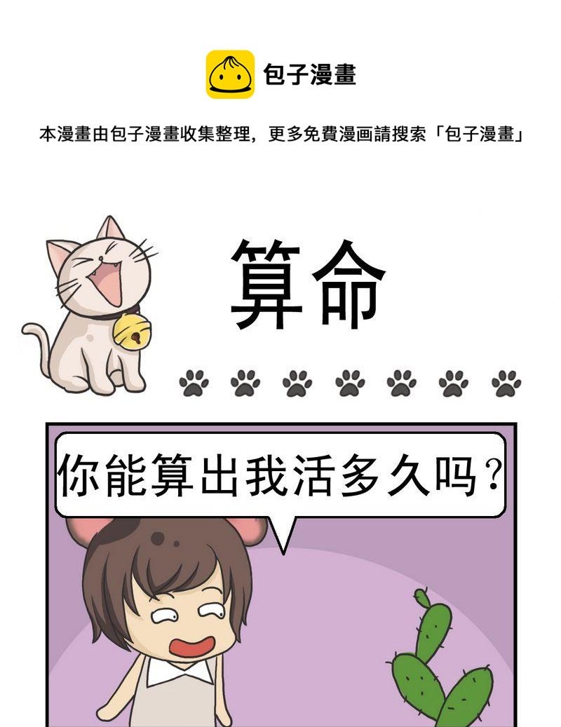 4 算命