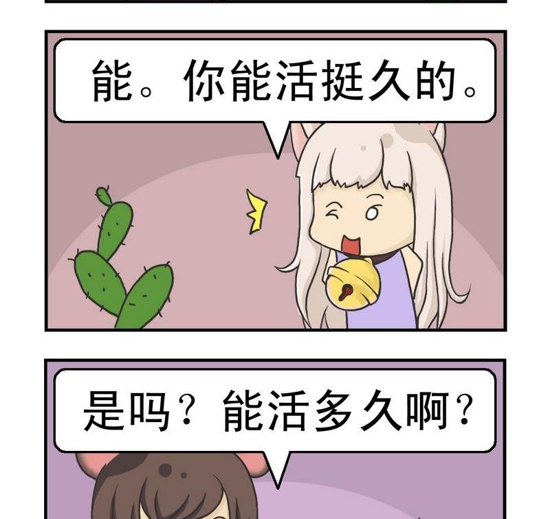 4 算命